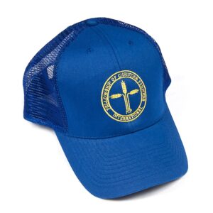 Blue FCFI Cap