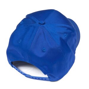 Blue FCFI Cap - Image 4