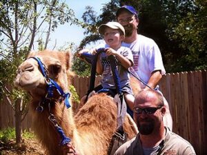 camel-ride
